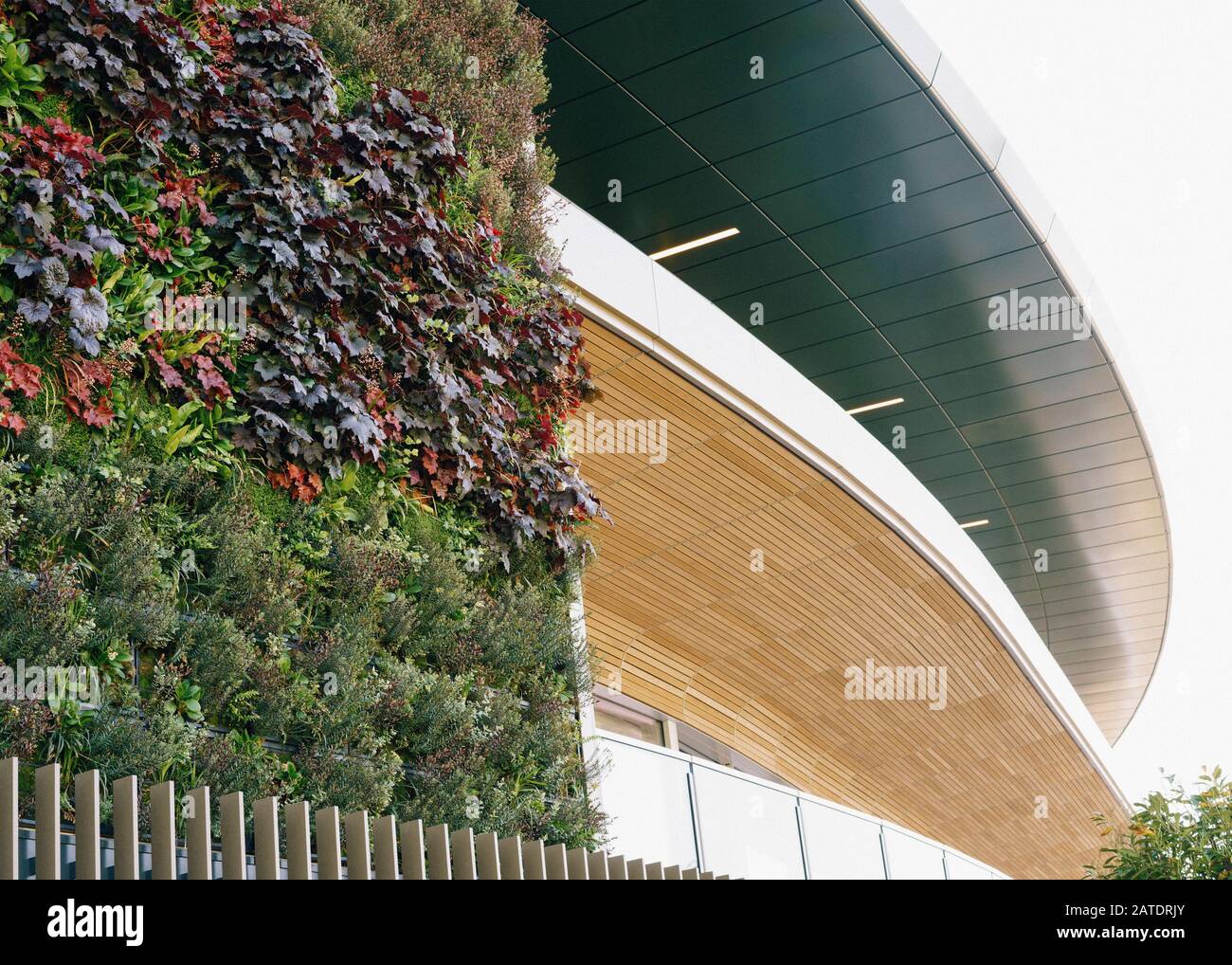 Part of the newly planted living wall on Court 1. Stock Photo