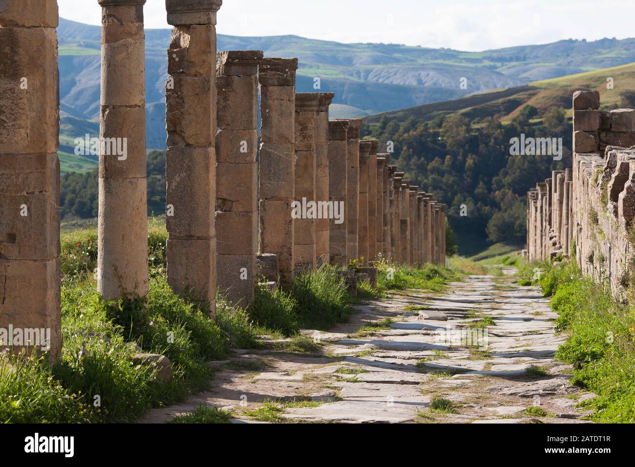 Remains of the village of Cuicul at the Ancient Roman ruins of Djemilla, A UNESCO World Heritage site in Northern Algeria. Stock Photo