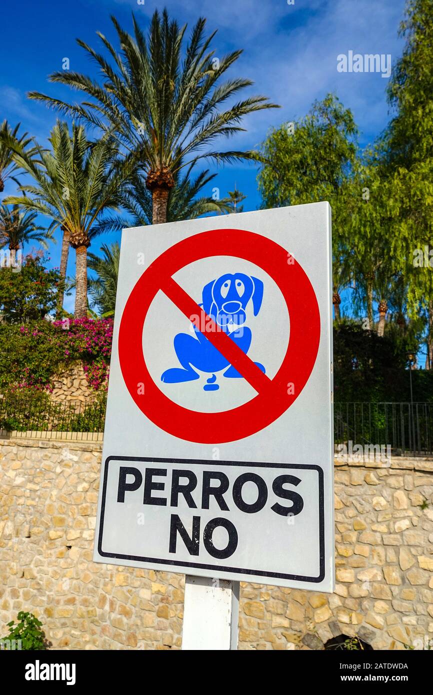 Sign indicating no dogs messing pooping shitting in the area, at