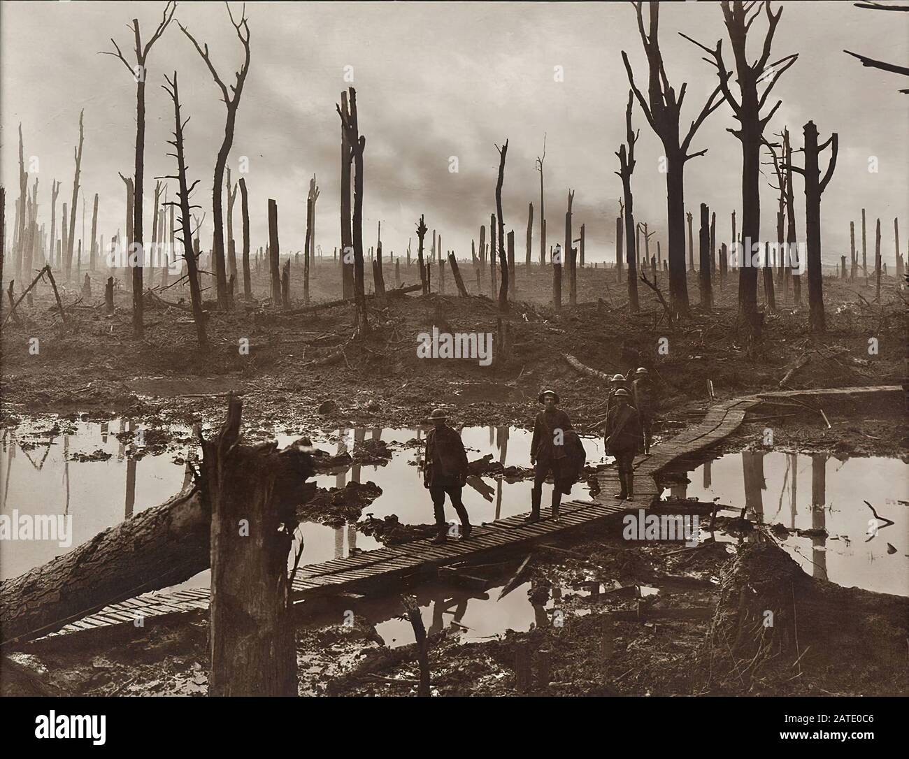 Gunners of the Australian 4th Division on a track of duckboard in Château Wood during the Third Battle of Ypres in Belgium. Photograph taken by Frank Hurley on October 29th Stock Photo