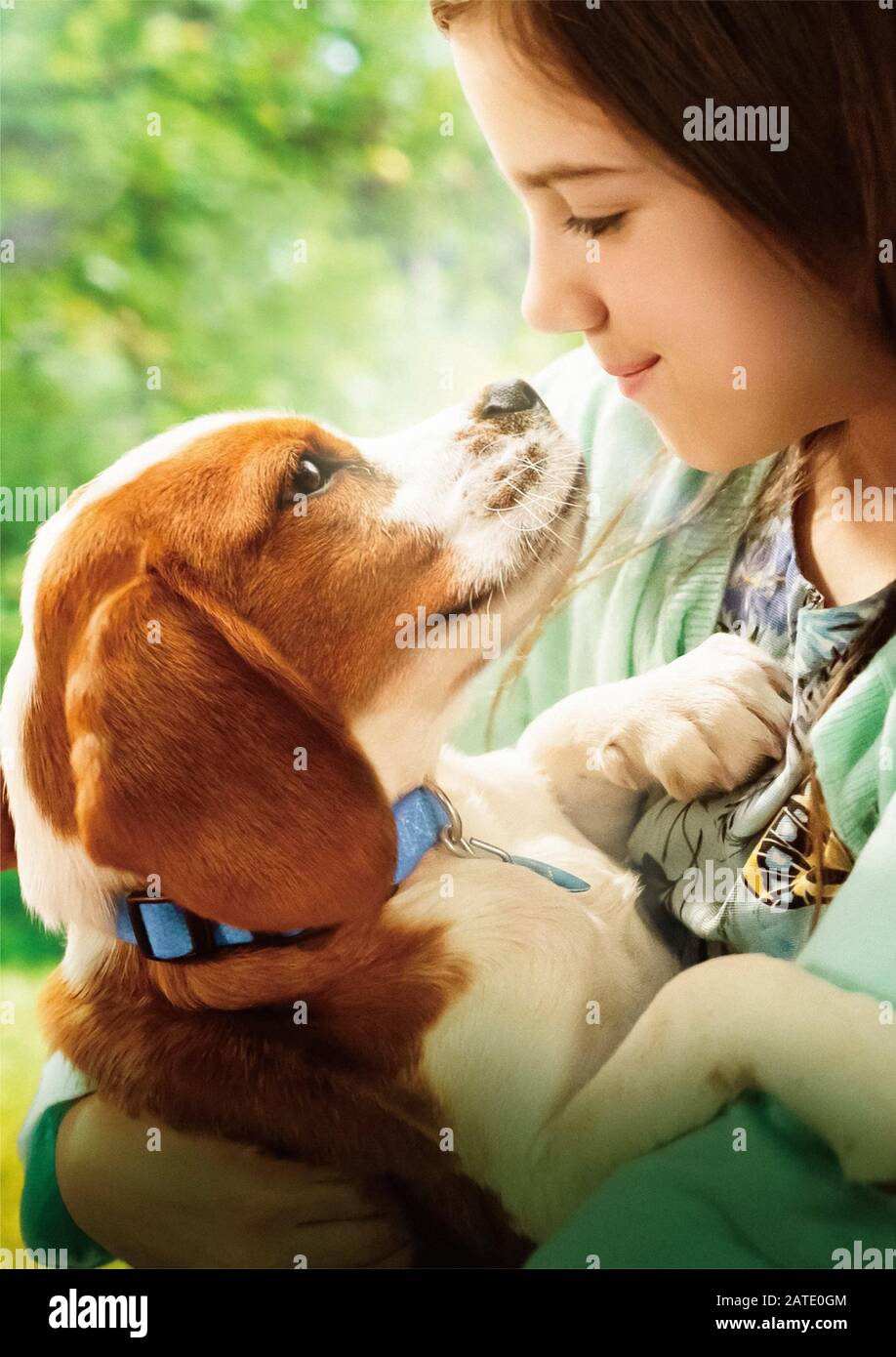 KATHRYN PRESCOTT in A DOG'S JOURNEY (2019), directed by GAIL MANCUSO. Credit: UNIVERSAL INTERNATIONAL PICTURES / Album Stock Photo