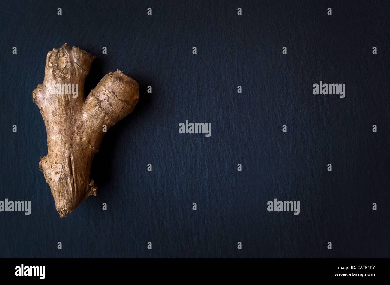 Ginger root on a dark blue background. Copy space Stock Photo