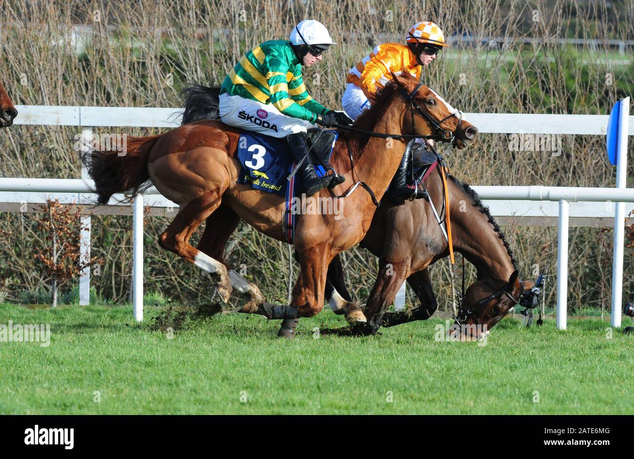 Aspire Tower ridden by Rachael Blackmore (far) fall at the last during  Tattersalls Ireland Spring Juvenile Hurdle during day two of the Dublin  Racing Festival at Leopardstown Racecourse Stock Photo - Alamy