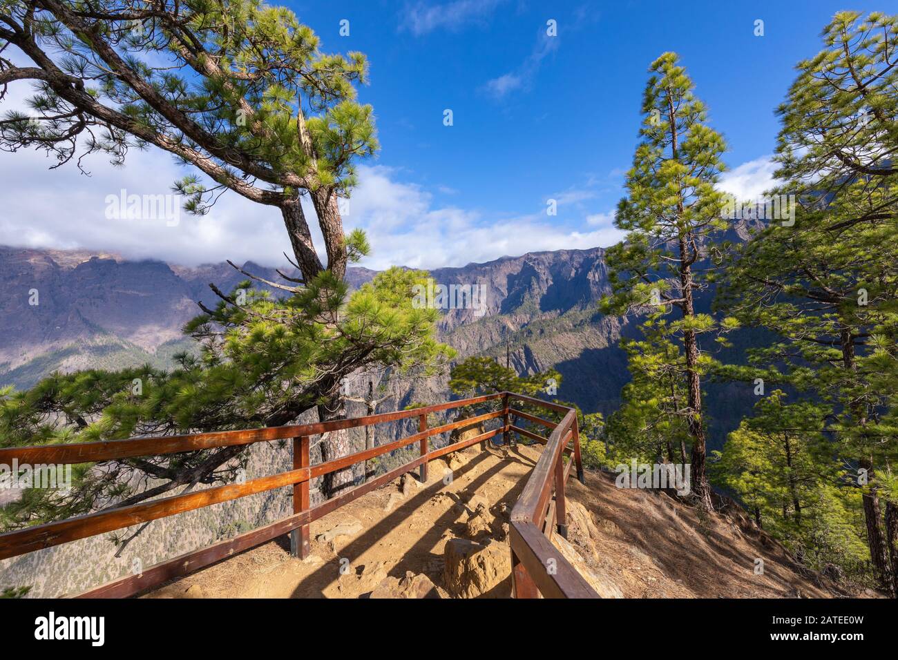 Pine forest at Caldera de Taburiente National Park. Viewpoint La Cumbrecita, La Palma, Canary Island, Spain. - Stock Image