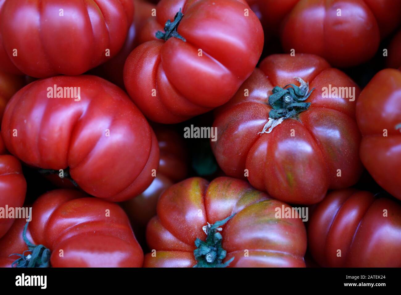 Beefsteak tomatoes, Italy Stock Photo