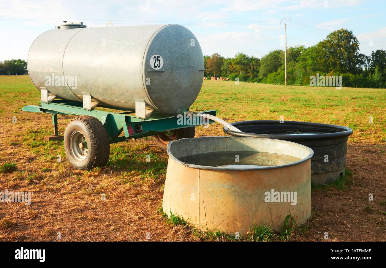 Water trough for drinking for cows cattle at field Stock Photo