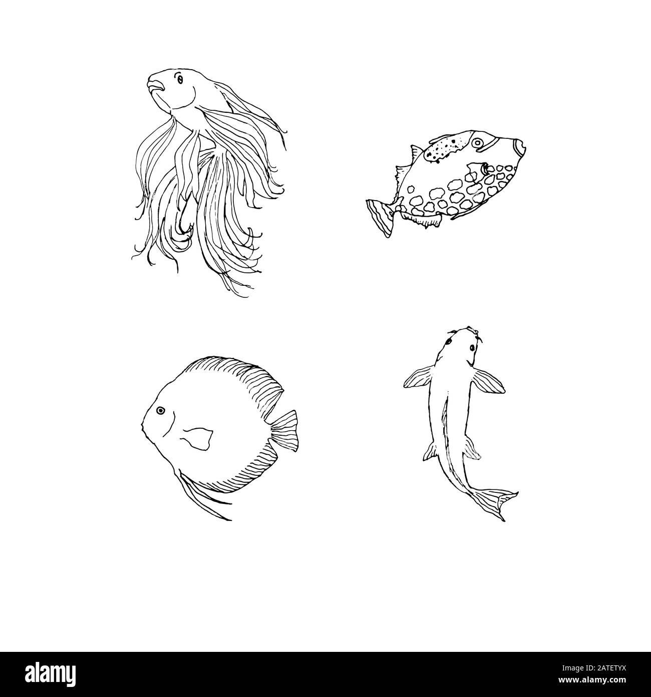 Set of fishes - discus, koi, clown and golden fish. Hand drawing sketch. Black outline on white background. Vector illustration can be used in greeting cards, posters, flyers, banners, logo, further design etc. EPS10 Stock Vector