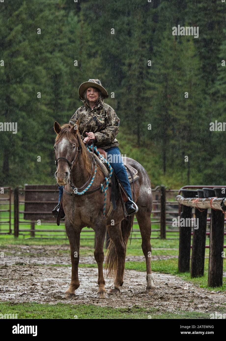 Horse Riding in Montana, USA Stock Photo Alamy