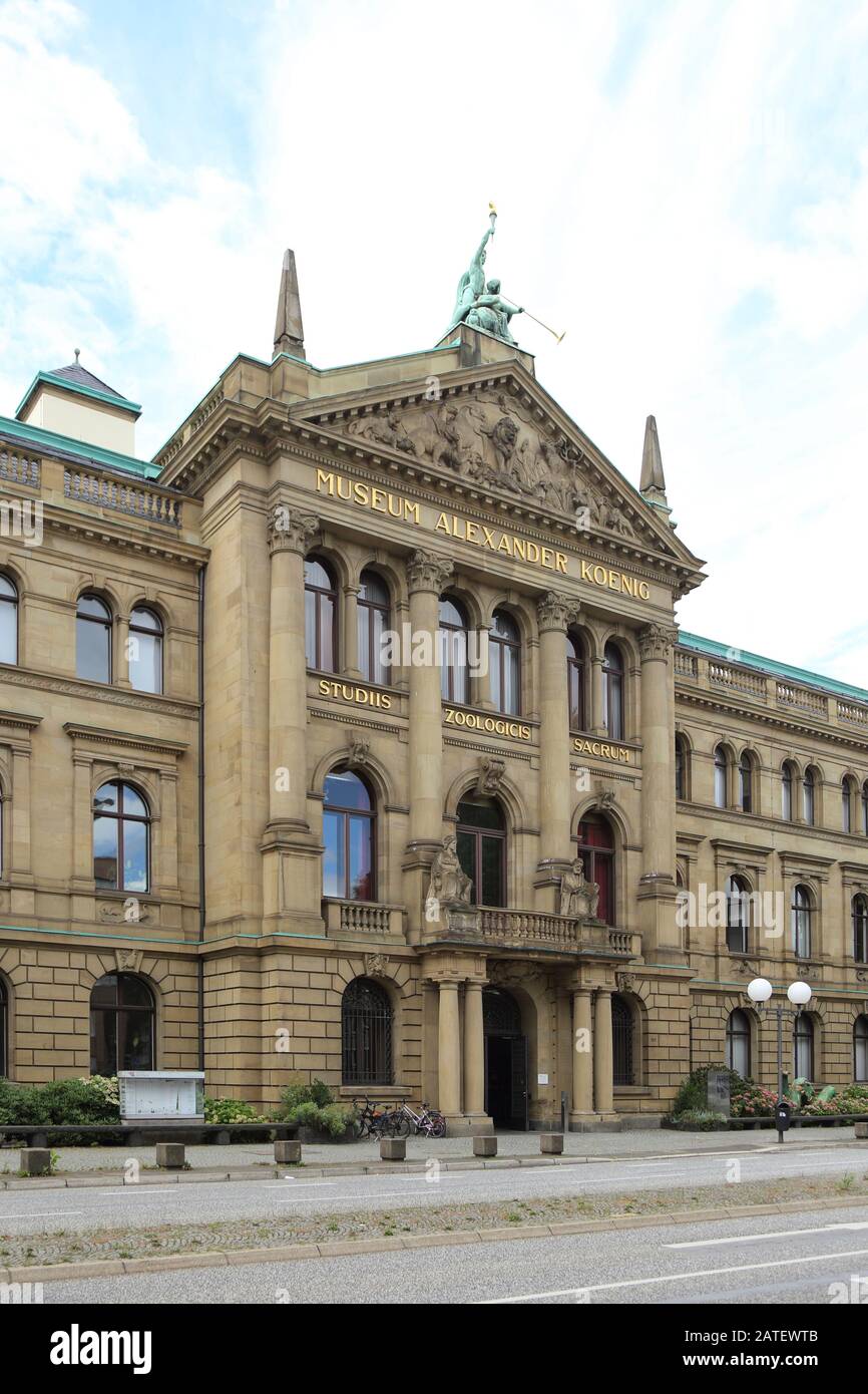 Bonn Museum Koenig Stock Photo - Alamy