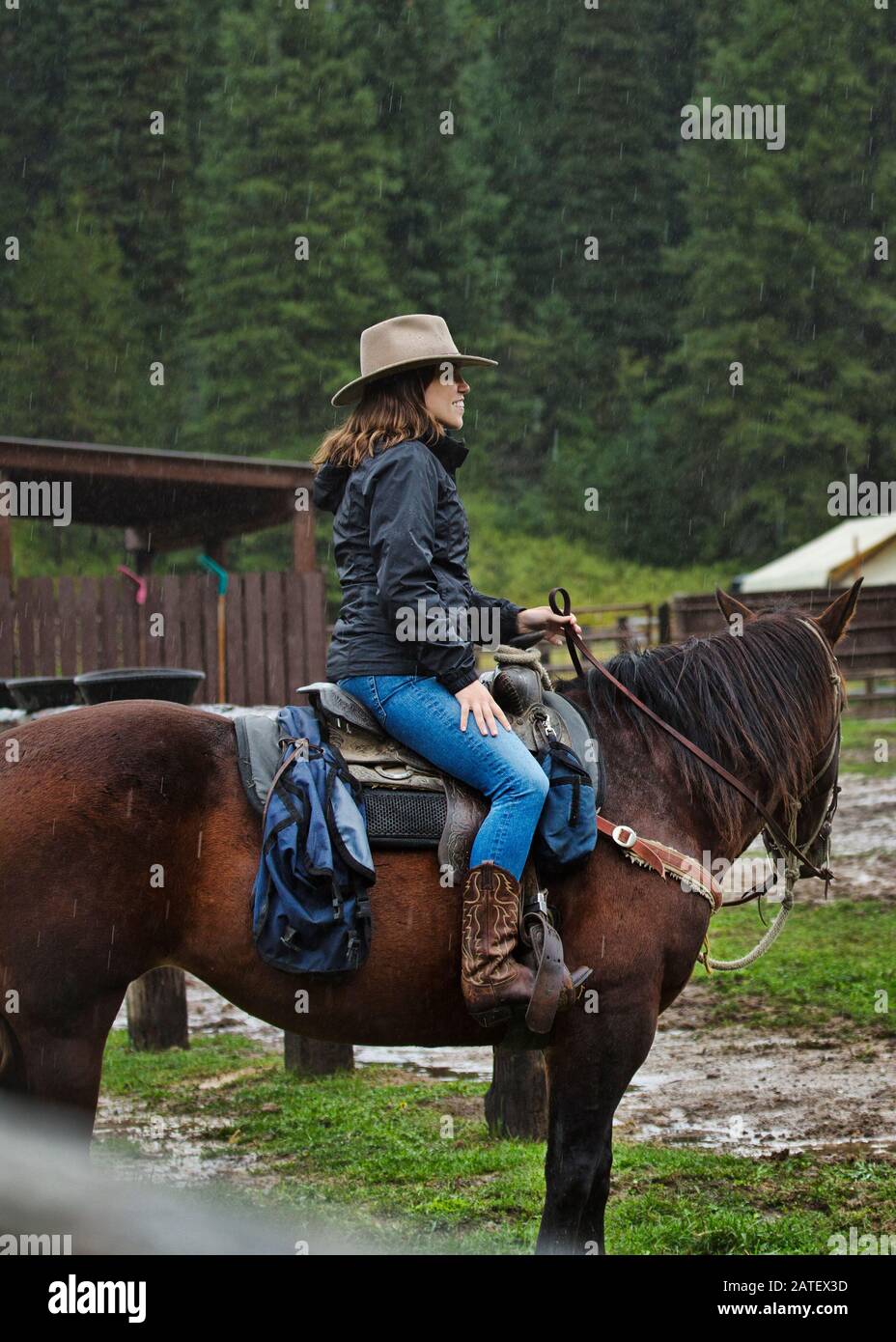 Horse Riding in Montana, USA Stock Photo Alamy