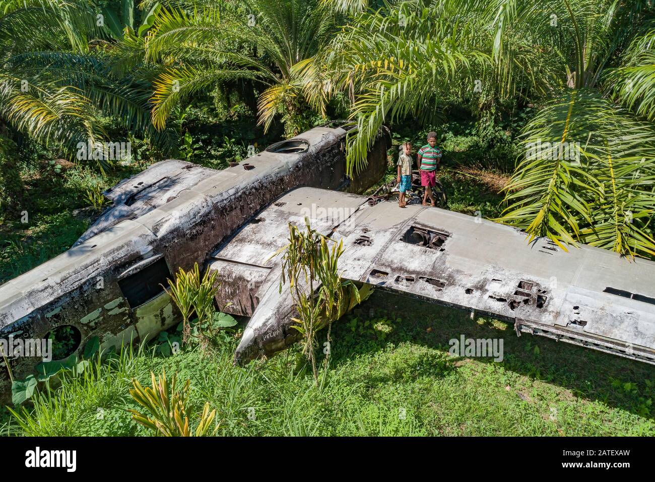 Arial View of airplane wreck in Oil palm plantation, Kimbe, New britain, Papua New Guinea, PNG Stock Photo