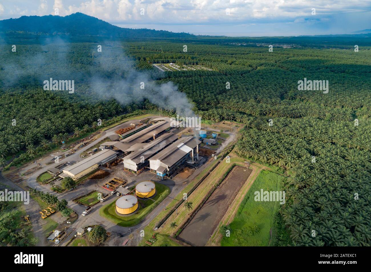 Arial View from a Refinery of a Oil palm, Kimbe, New britain, Papua New Guinea, PNG Stock Photo