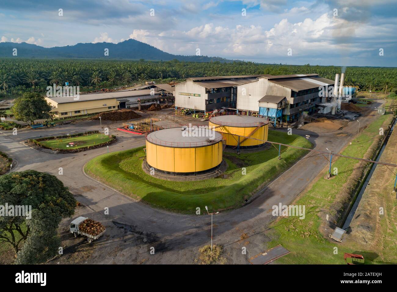 Arial View from a Refinery of a Oil palm, Kimbe, New britain, Papua New Guinea, PNG Stock Photo