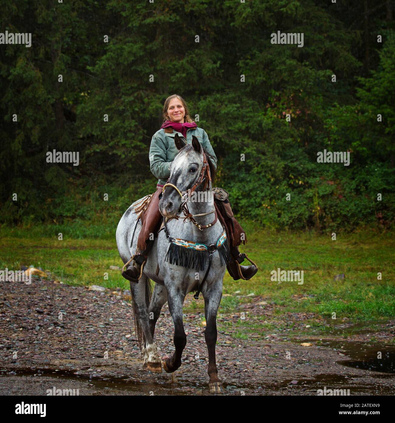 Horse Riding in Montana, USA Stock Photo Alamy