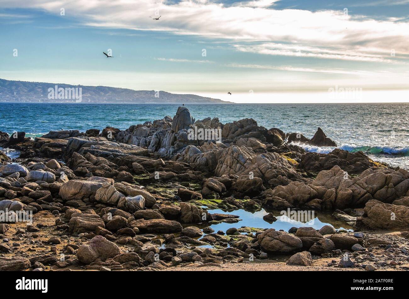 Renaca beach, Chile. Nature of the Chilean coast of the Pacific Ocean Stock Photo