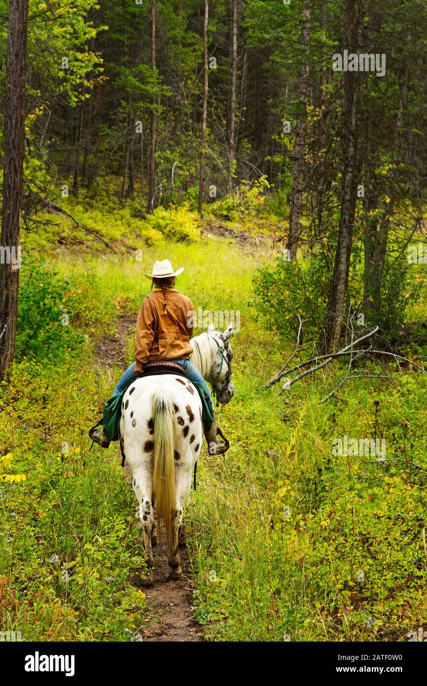 Horse Riding in Montana, USA Stock Photo Alamy