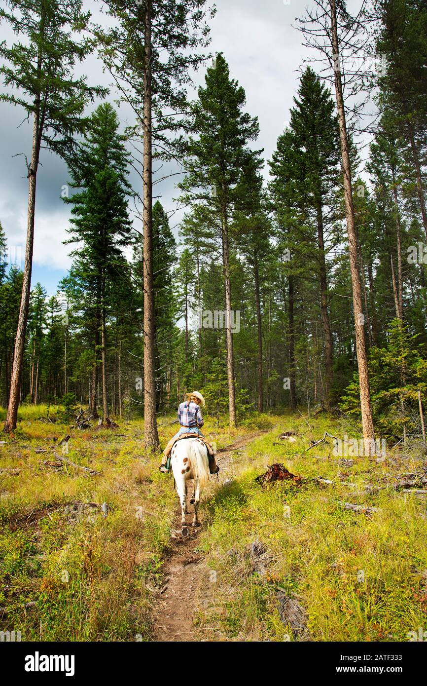 A young woman horse riding in Montana, USA Stock Photo