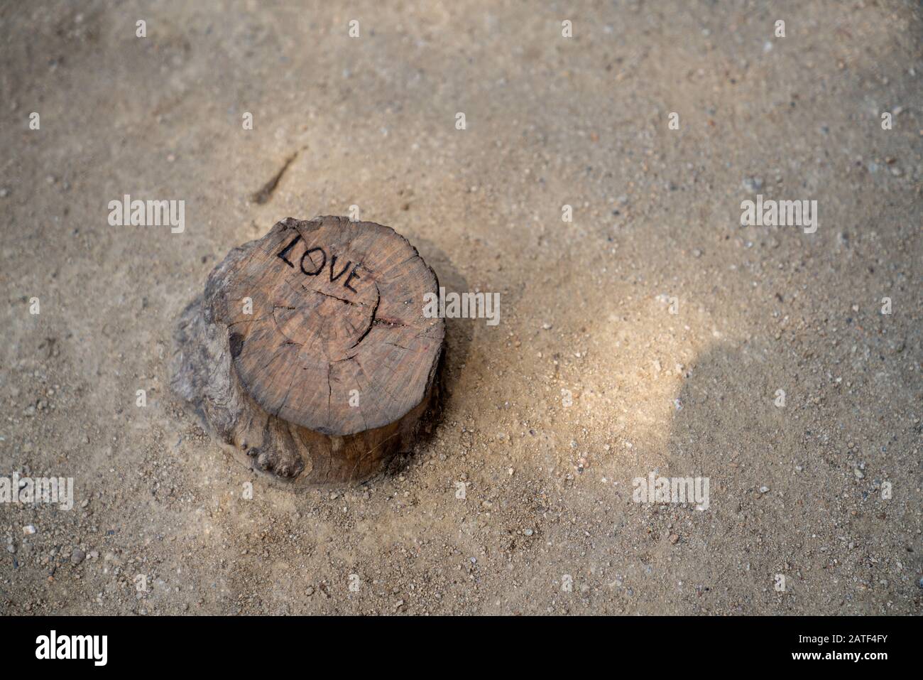 Love etched carved out on a small tree stump in sand pit Stock Photo