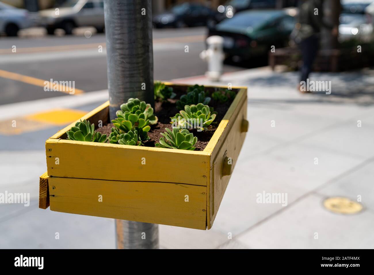 Yellow basket drawer filled with succulent plants hanging on street post Stock Photo