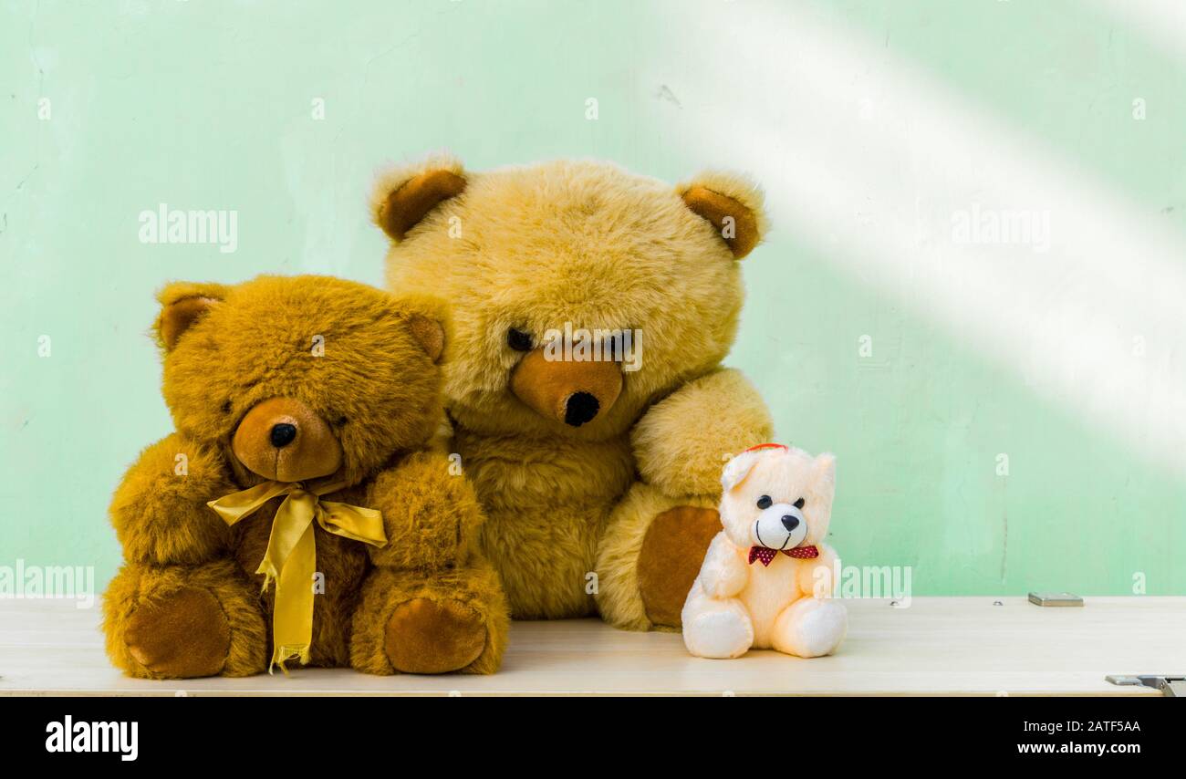teddy bear for teddy day