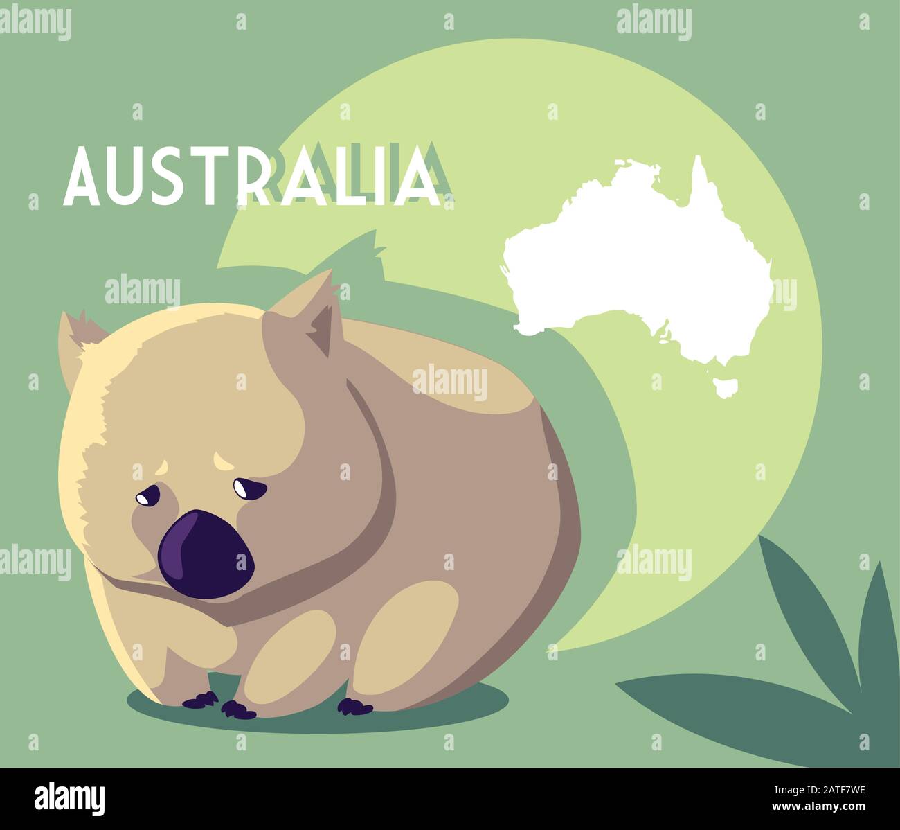 wombat with map of australia in the background vector illustration ...