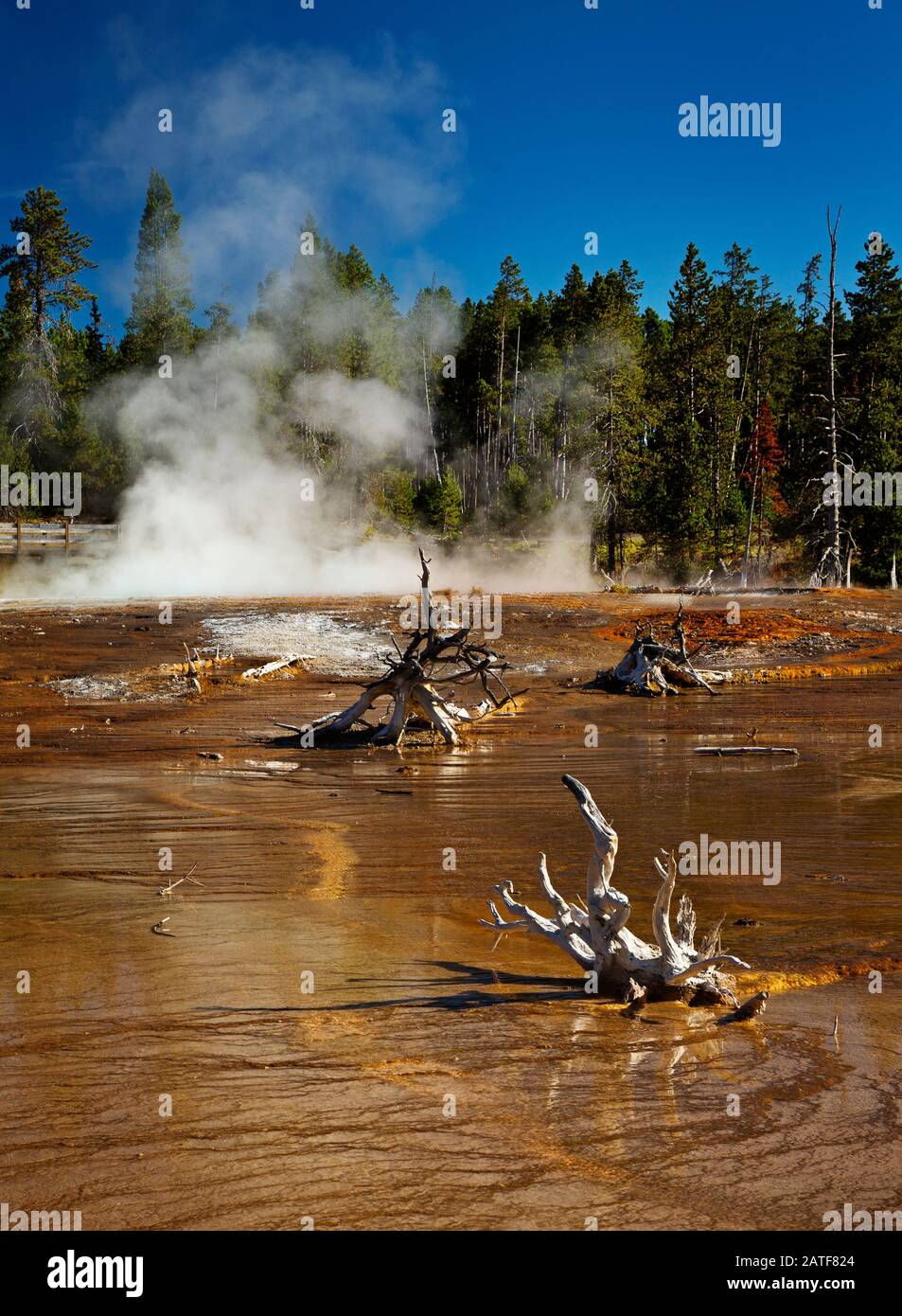 Hot springs in Yellowstone national park Stock Photo