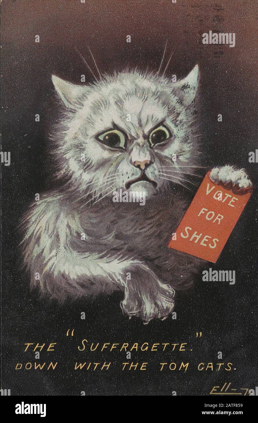 The Suffragette Down with the Tom Cats. - Women's suffrage in the United States 1840' 1920' - Anti suffragette propaganda Stock Photo