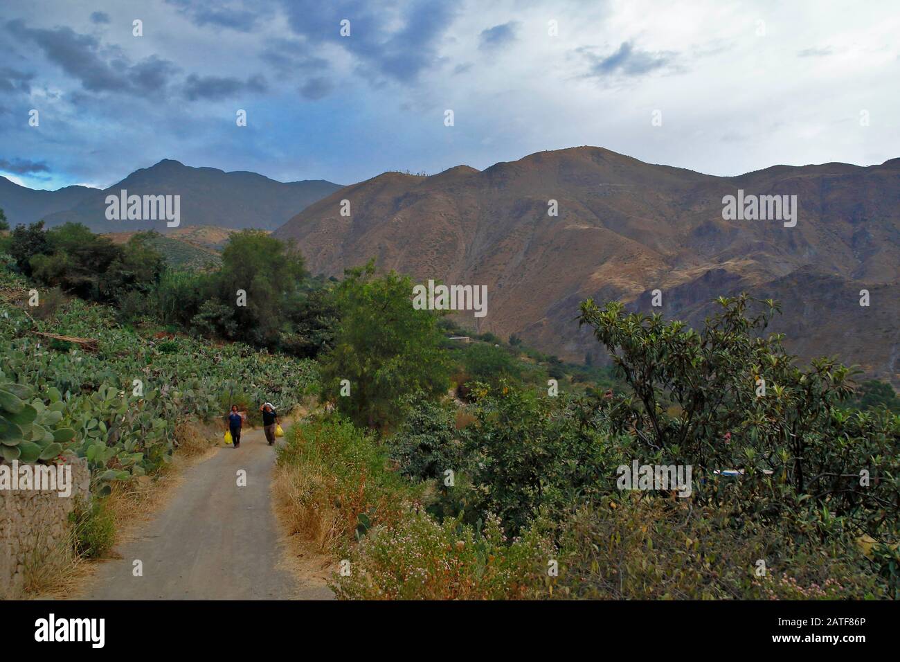 People walking peacefully towards the forest of Zarate at sunset in the  town of San Bartolomé. Lima Peru Stock Photo - Alamy