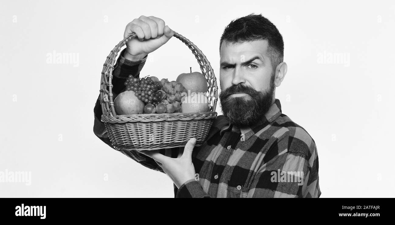 Farmer with serious face presents apples, grapes and cranberries. Man with beard holds basket with fruit isolated on white background. Farming and gardening concept. Guy holds homegrown harvest Stock Photo