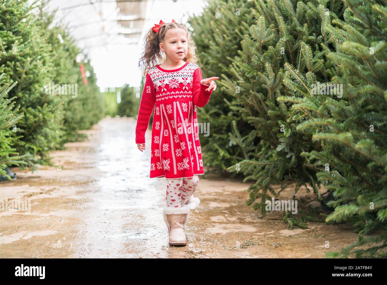 white christmas dresses Buy Discount Kate Winter Xmas Tree Farm Red Barn Backdrop