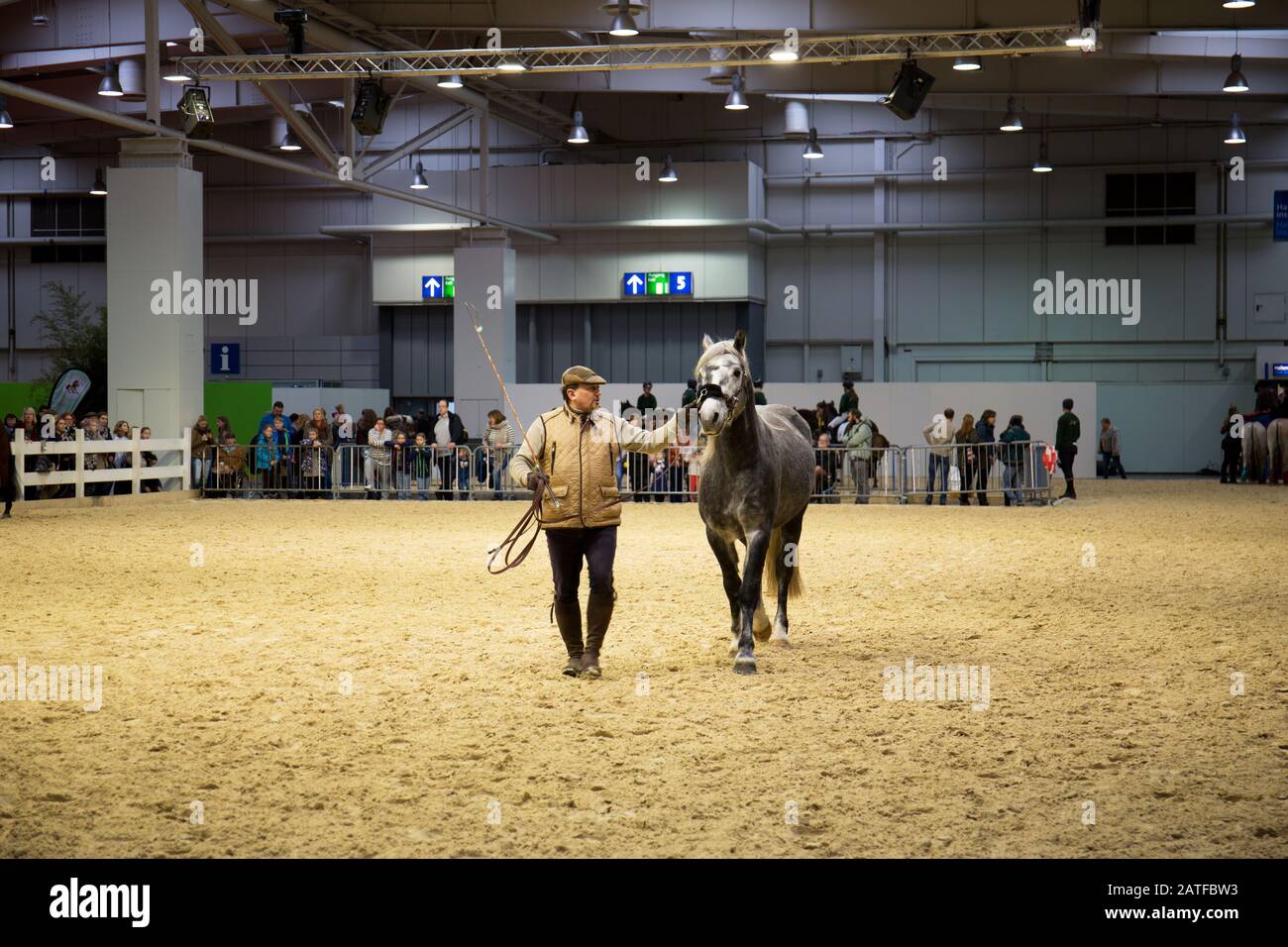 impressions of the horse fair 2019 in hannover lower saxony germany Stock Photo