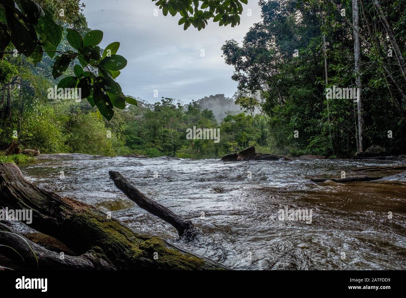 Rapids on Voltaire River, with morning mist and no people, Amazonia, French Guiana Stock Photo