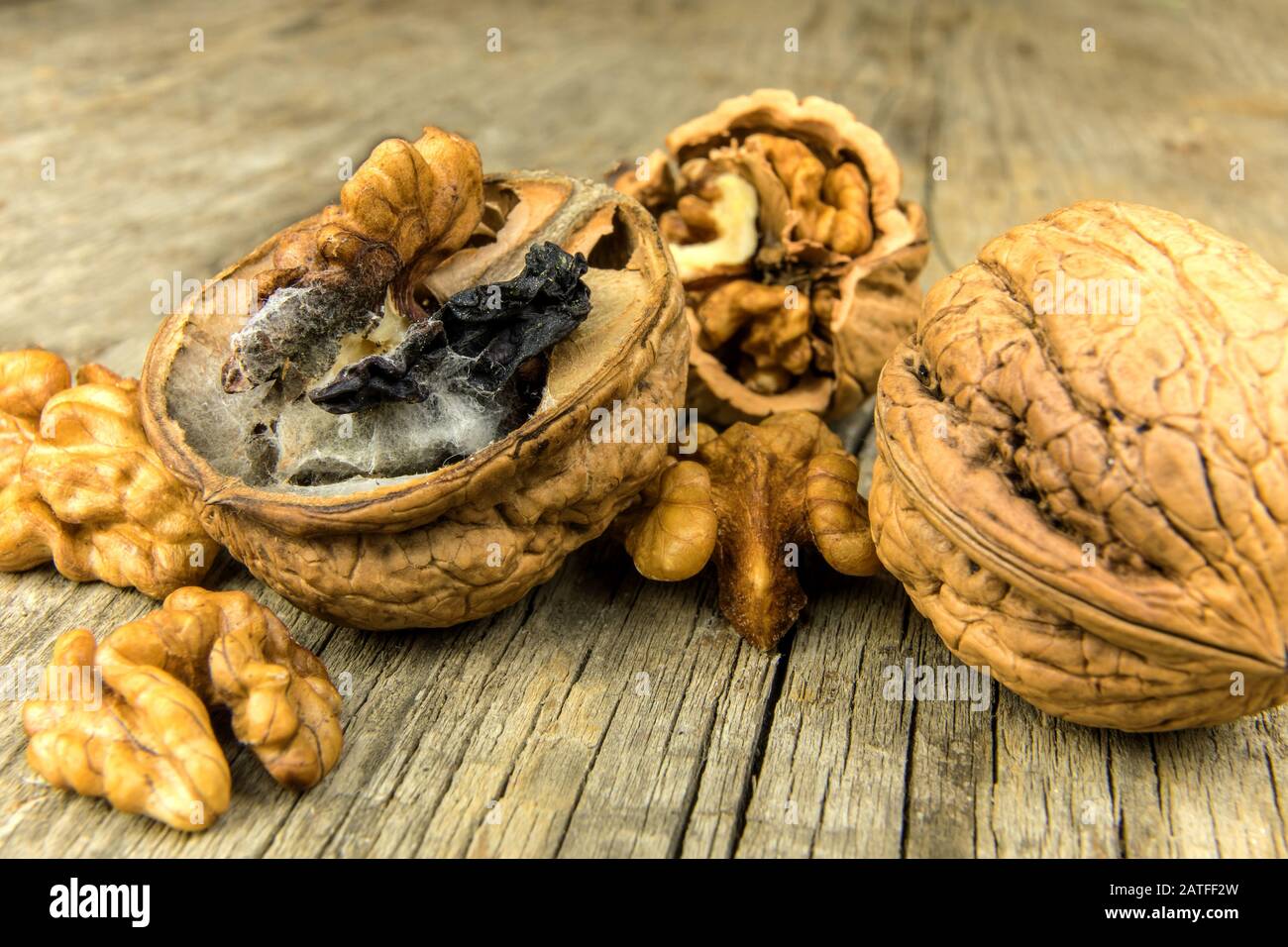 Spoiled nut hires stock photography and images Alamy