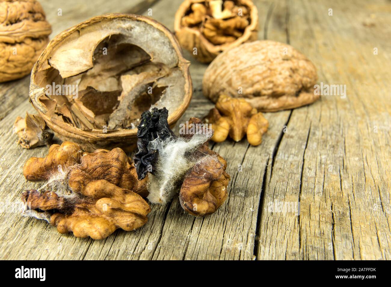 Moldy walnut on wooden table. Unhealthy food. Food mold. Poisonous mold