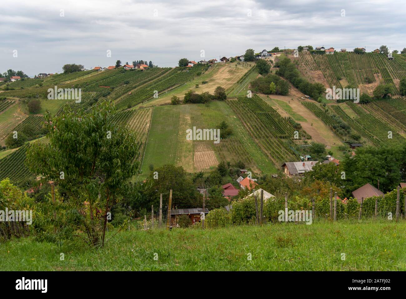 The view of Lendavske Gorice with wine yards. Aerial View Of Lendava Valley Stock Photo