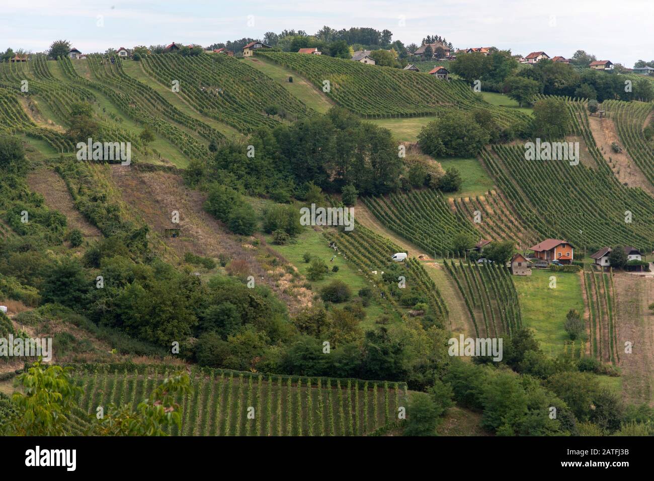 The view of Lendavske Gorice with wine yards. Aerial View Of Lendava Valley Stock Photo