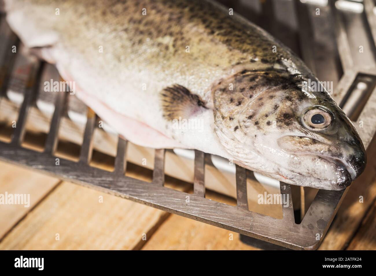 Preparing Fresh Caught Trout For Grill. Fish Barbecue Theme Stock Photo