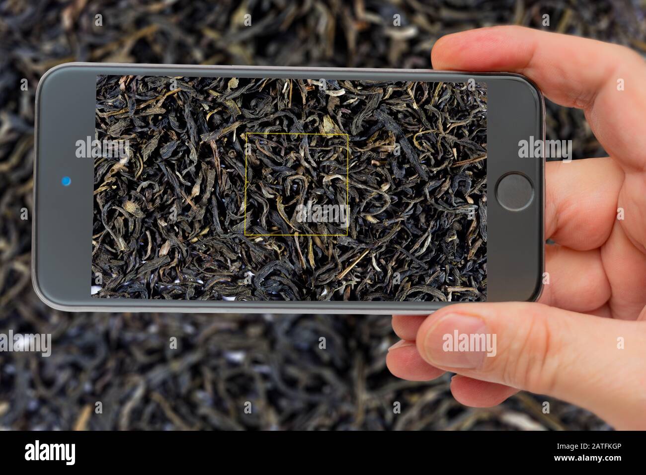 Black tea for making a refreshing drink. Textures of black tea. Black ...