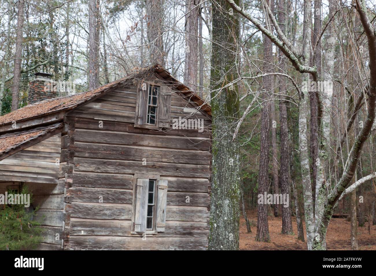 Old Log Cabin in the Woods Stock Photo - Alamy