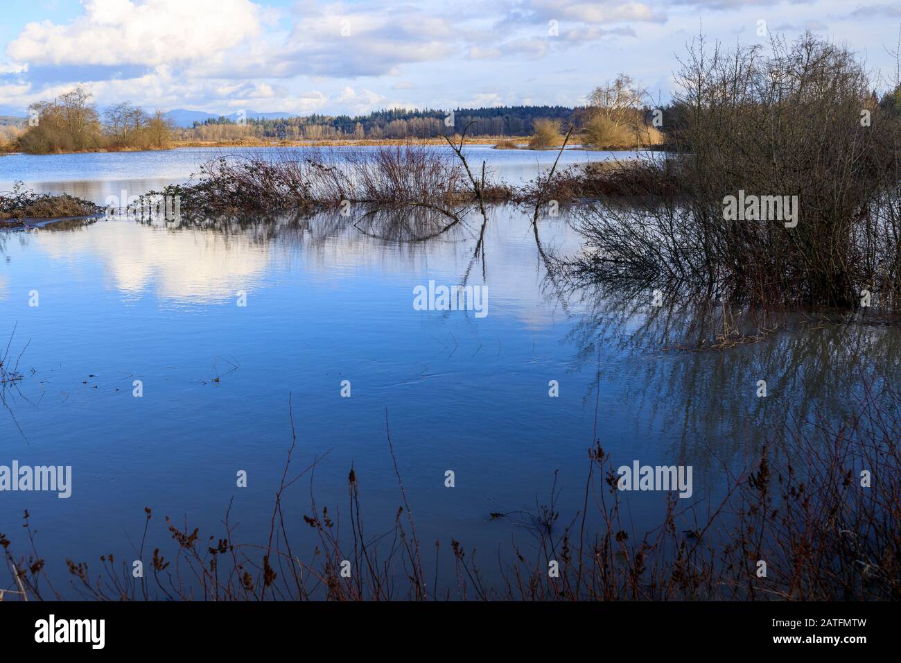 Farmers field flooded after extreme rainfall Stock Photo