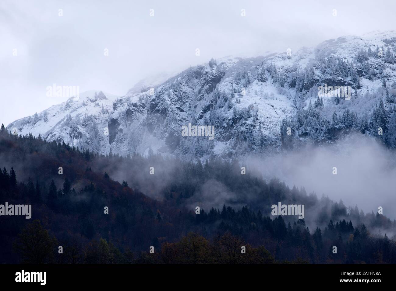 France, Haute-Savoie (74), Alps, woods and mist in autumn, first snow Stock Photo