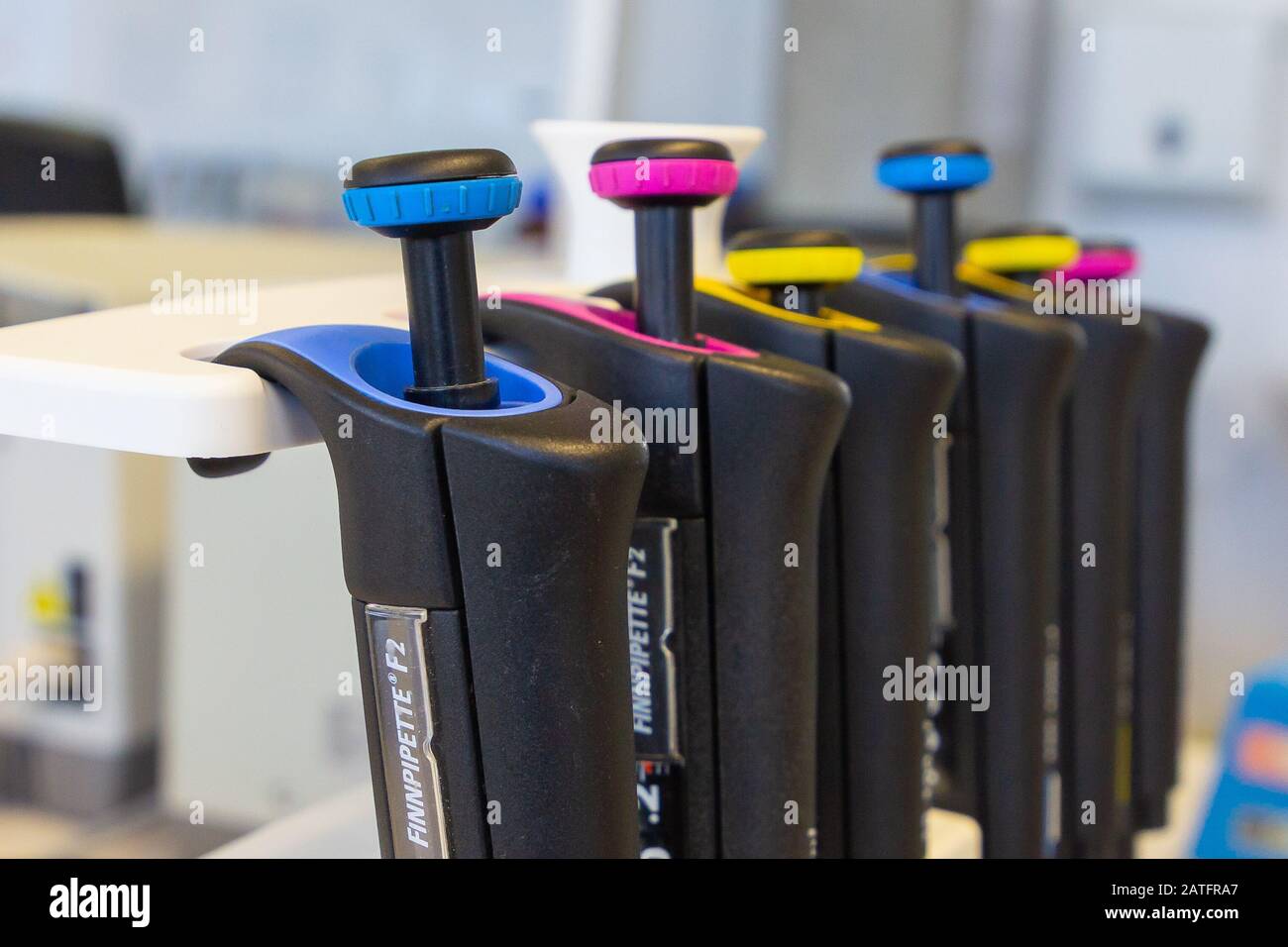 Chemical or Clinical laboratory tools eppendorf. Automatic pipettes are on the holder. Berlin, February 2020. Stock Photo