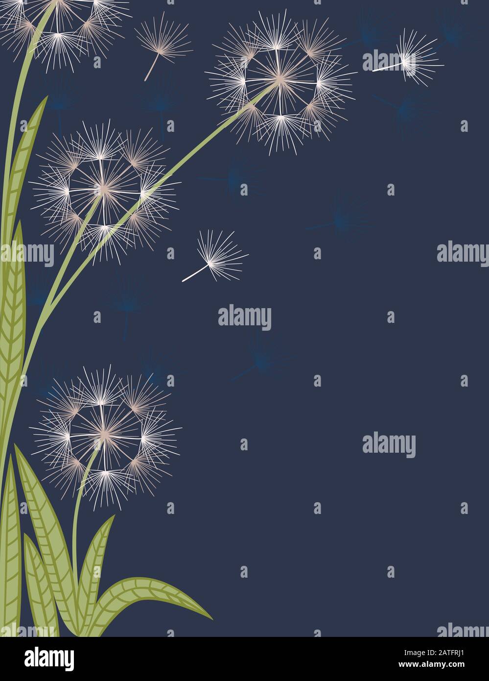 Dandelions flowers with flying seeds on dark blue background flat vector vertical illustration Stock Vector