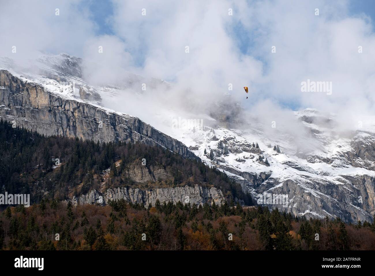 France, Haute-Savoie (74), Alps, woods, clouds and paraglider Stock Photo