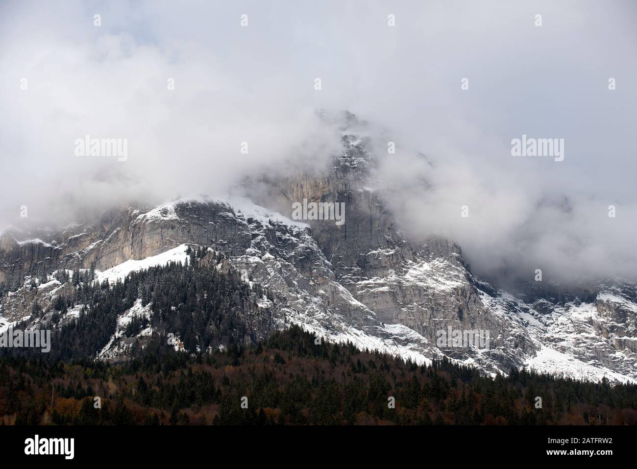 France, Haute-Savoie (74), Alps, woods and fog, first snow Stock Photo
