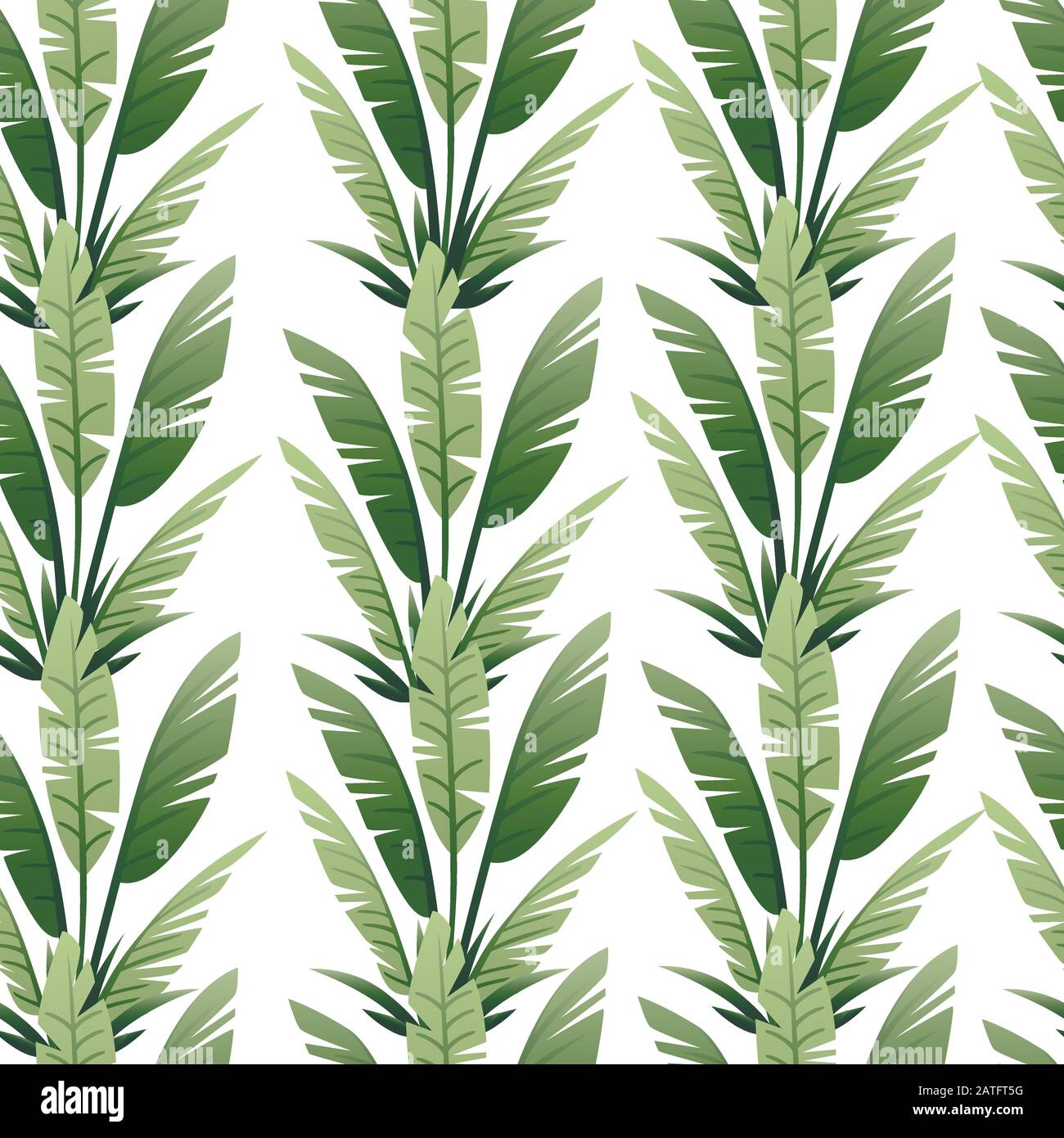 Seamless pattern of tropical leaves exotical jungle leaf vector floral element vector illustration on white background Stock Vector