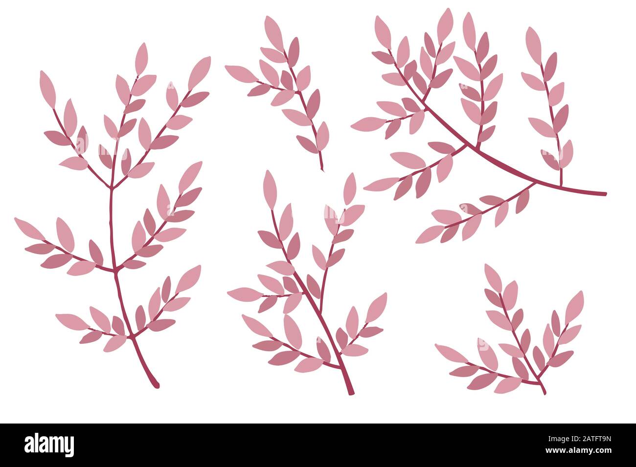 Set Of Hand Drawn Tree Branches With Leaves Botanical Flowers Floral Hand Drawn Scandinavian Style Art Design Element Flat Vector Illustration Stock Vector Image Art Alamy Set Of Hand Drawn Tree Branches With Leaves Botanical Flowers Floral Hand Drawn Scandinavian Style Art Design Element Flat Vector Illustration Stock Vector Image Art Alamy