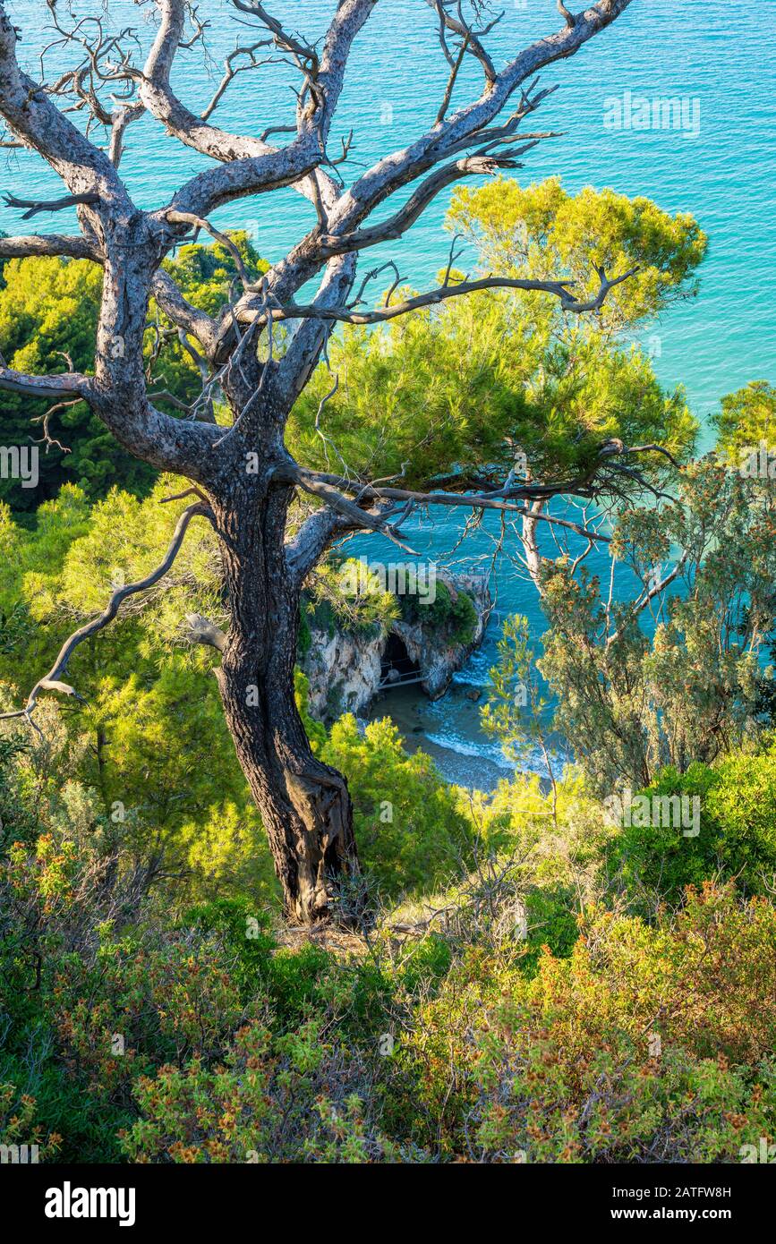 Typical mediterranean landscape near Peschici, in the Gargano region of Puglia (Apulia), Italy. Stock Photo