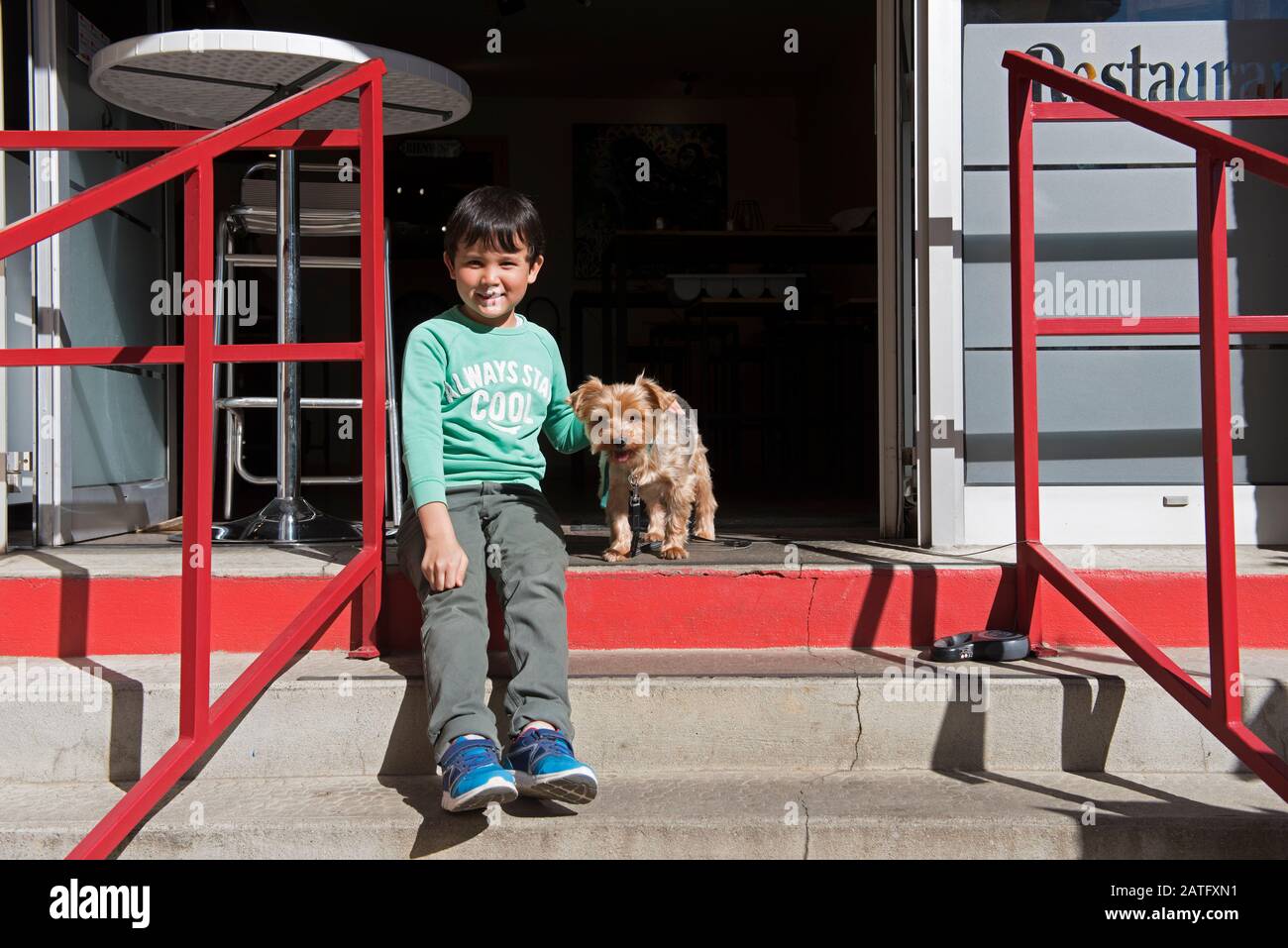 Child with dog (yorkshire terrier) Stock Photo
