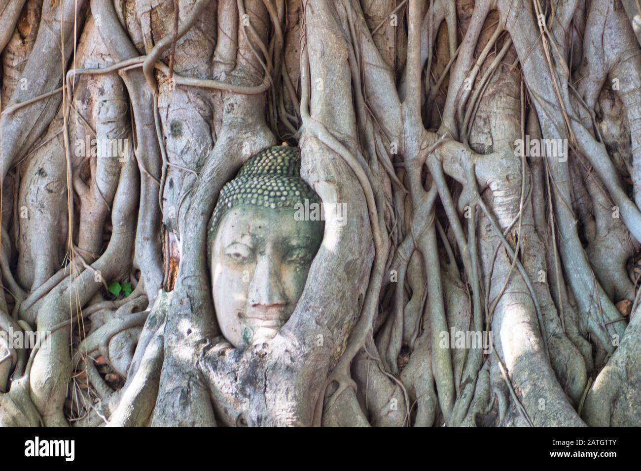 Ayutthaya historico hi-res stock photography and images - Alamy